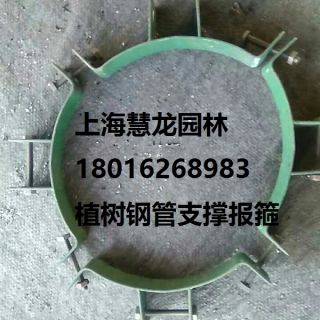大樹報(bào)箍，植樹支撐報(bào)箍，鋼支撐報(bào)箍